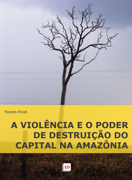 A Violência e o Poder de Destruição do Capital na Amazônia | Fiorelo Picoli